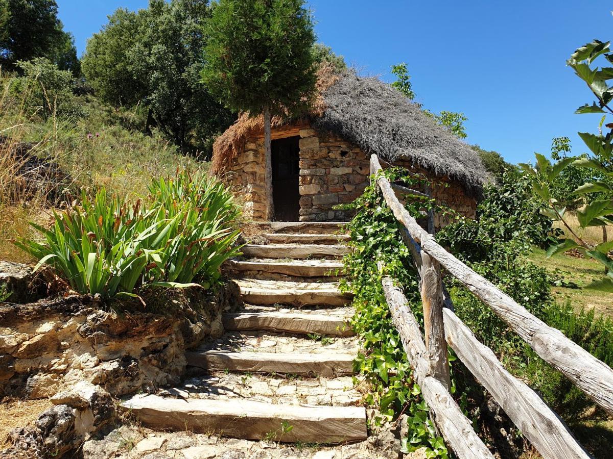 Casa Rural Don Rosendo Olmeda de Cobeta Ngoại thất bức ảnh