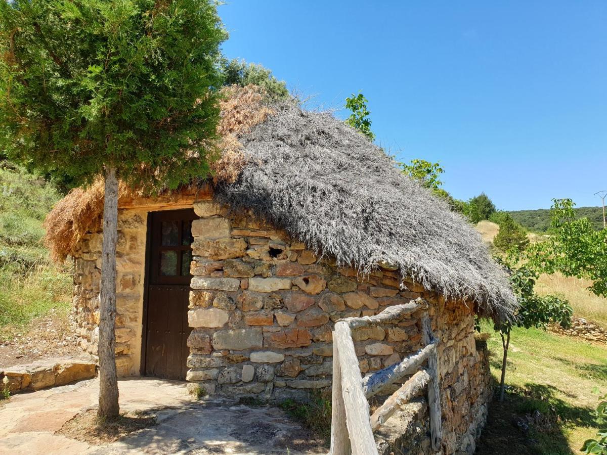 Casa Rural Don Rosendo Olmeda de Cobeta Ngoại thất bức ảnh